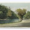 Wissahickon Creek and Drive, Fairmount Park, Philadelphia, Pa.