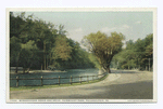 Wissahickon Creek and Drive, Fairmount Park, Philadelphia, Pa.