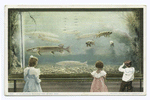 In the Aquarium, Belle Isle Park, Detroit, Mich.
