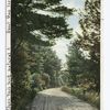 The Road to Lake Wentworth, Wolfeboro, N.H.