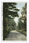 The Road to Lake Wentworth, Wolfeboro, N.H.