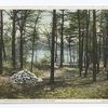 Site of Thoreau's Hut, Concord, Mass.