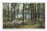 Site of Thoreau's Hut, Concord, Mass.