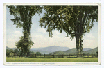 Glimpse of Mt. Washington, Intervale, N.H.