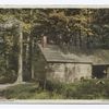 Ah Old Sugar Camp, New Hampshire