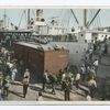 Unloading Bananas from Steamer, New Orleans, La.
