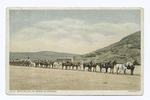 Hauling Oil to Mines, Arizona