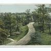 Road in Riverview Park, North Side, Pittsburgh, Pa.