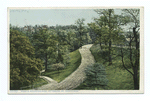 Road in Riverview Park, North Side, Pittsburgh, Pa.