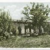 Adobe Residence, Old Town, Albuquerque, N. M.