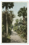 Cycle path, Florida.