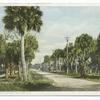 Palmetto Street, Daytona, Fla.