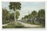 Palmetto Street, Daytona, Fla.