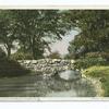 Willow Island Bridge, Niagara Falls, N. Y.