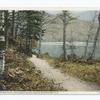 Mountain Path, Franconia Notch, N. H.