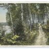 Road to the Chapel, Saranac Inn, Saranac Lake, N.Y.