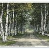 Road to Saranac Inn, Adirondack Mountains, N.Y.
