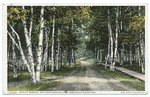 Road to Saranac Inn, Adirondack Mountains, N.Y.