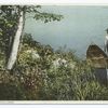 An Adirondack Carry, Adirondack Mountains, N.Y.