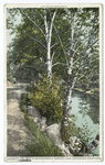 On the Road to Bloomingdale, Saranac Lake, Adirondack Mountains, N.Y.