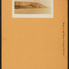 Bronx: 180th Street (East) - Morris Park Avenue