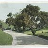 Driveway, Busch Sunken Gardens, Pasadena, Calif.
