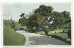 Driveway, Busch Sunken Gardens, Pasadena, Calif.