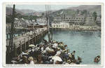 Str. "Cabrillo" Arriving at Pier, Santa Catalina, Calif.