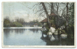 Lake View, Prospect Park, Brooklyn, N.Y.
