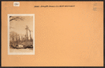 Bronx: Arlington Avenue - 256th Street (West)
