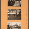 Bronx: Bainbridge Avenue - 196th Street (East)