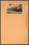 Bronx: Bainbridge Avenue - 206th Street (East)