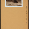 Bronx: Barker Avenue - Waring Avenue