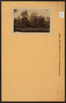 Bronx: Baychester Avenue - Strang Avenue