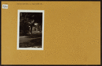 Bronx: Bedford Park Blvd. - west from Marion Ave.