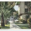 Orange Street, Riverside, Calif.