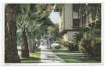 Orange Street, Riverside, Calif.