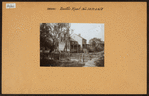 Bronx: Boston Road - Bristow Street
