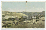 View in Second Petrified Forest, Adamana, Ariz.