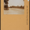 Bronx: Bronx and Pelham Par - Williamsbridge Road