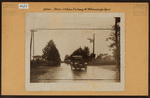 Bronx: Bronx and Pelham Par - Williamsbridge Road