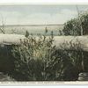 Petrified Bridge, Third Petrified Forest, Adamana, Ariz.