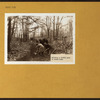 Bronx: Bronx Park - 239th Street (East)