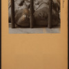 Bronx: Bronx Park (hippopotamus).