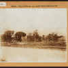Bronx: Bryant Avenue - 174th Street (East)