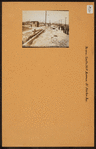 Bronx: Castle Hill Avenue - Norton Avenue