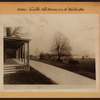 Bronx: Castle Hill Avenue - Norton Avenue