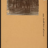 Bronx: Charlotte Street - Boston Road