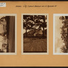 Bronx: City Island Avenue - Rochelle Street