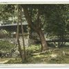View (Pavilion & Bridge), Bellewood Park, N.J.